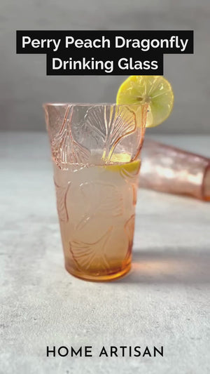 Perry Peach Dragonfly Drinking Glass (Set of 2)