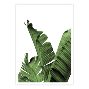 Ewa Sho XXI - Home Artisan