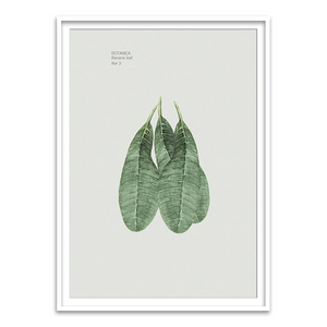 Ewa Sho XXII - Home Artisan