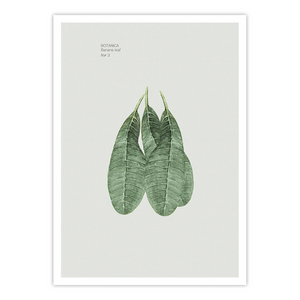 Ewa Sho XXII - Home Artisan