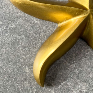 Warrington Star Fish Wall Sculpture