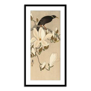 Myna on Magnolia Branch, 1900-1910