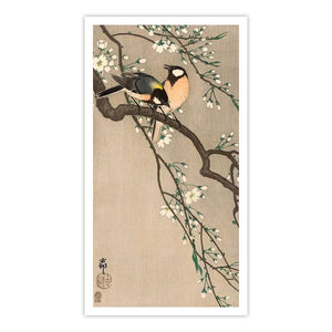 Songbirds on Cherry Branch, 1900-1910