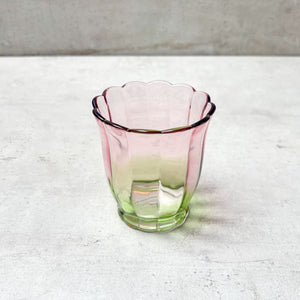 Clara Blush & Sage Ombre Drinking Glass (Short) - Set of 4 - Home Artisan
