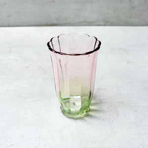 Clara Blush & Sage Ombre Drinking Glass (Tall) - Set of 4 - Home Artisan