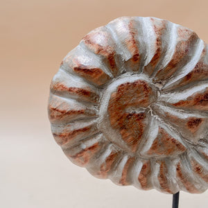 Serena Nautical Shell Wooden Sculpture - Home Artisan