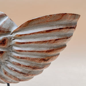 Serena Nautical Shell Wooden Sculpture - Home Artisan