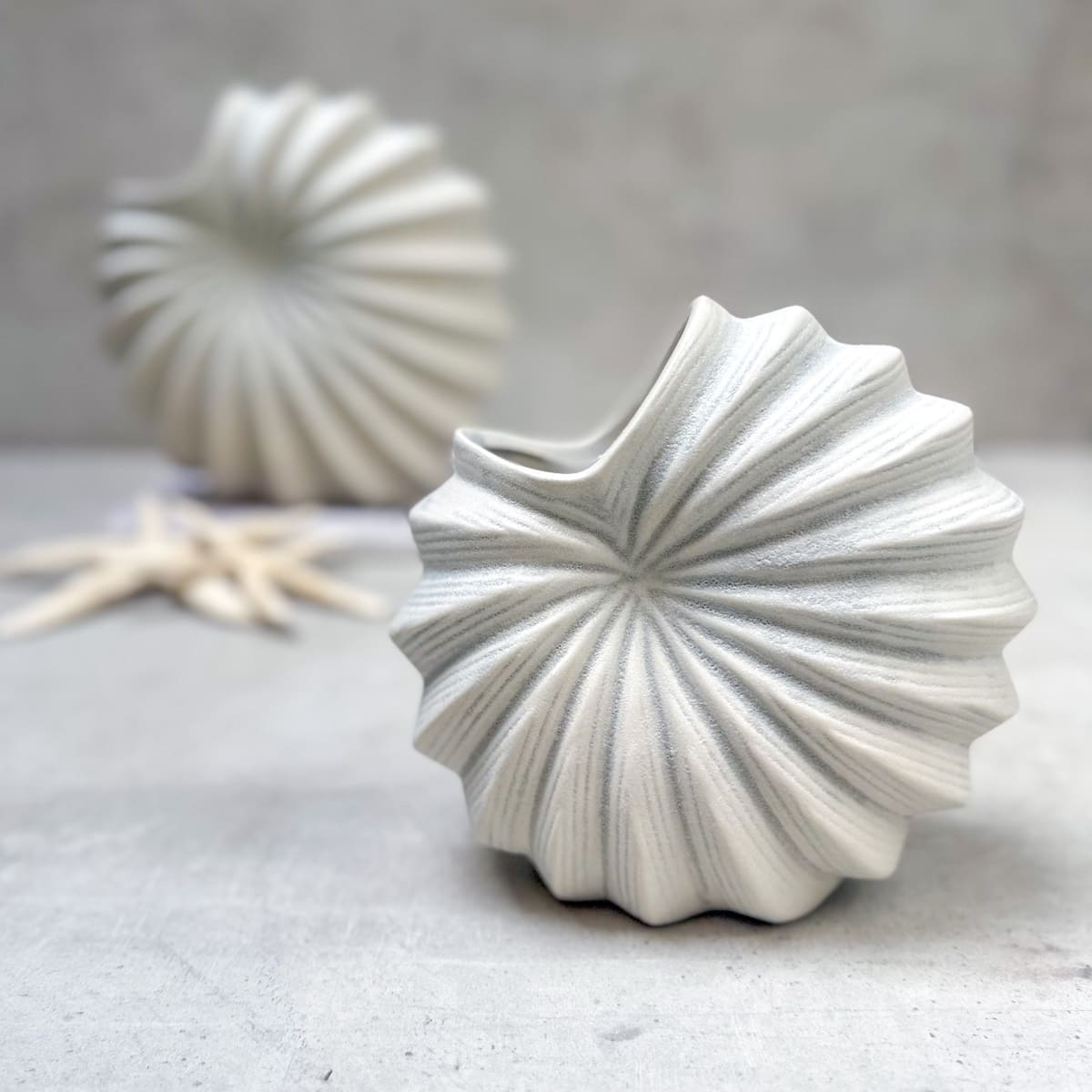 Nerida Shell White Ceramic Vase (Small) - Home Artisan