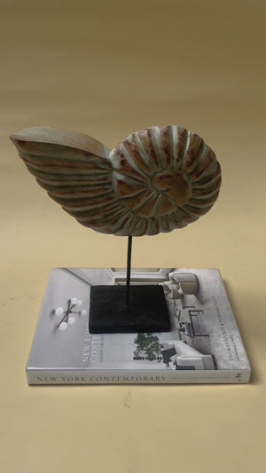 Serena Nautical Shell Wooden Sculpture