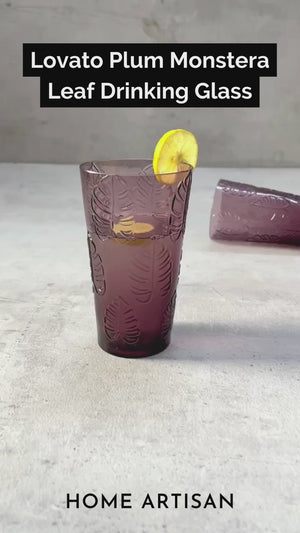 Minaj Peach Monstera Leaf Drinking Glass (Set of 2)