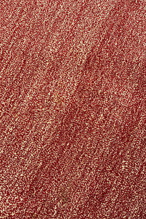 Rust Radiance II Hand Tufted Carpet (8x3) By Qaaleen