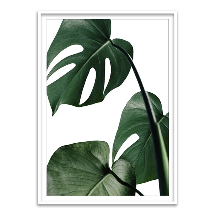 Ewa Sho XX - Home Artisan