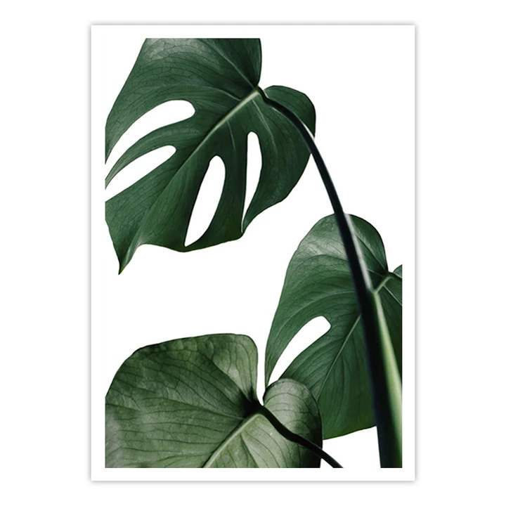 Ewa Sho XX - Home Artisan