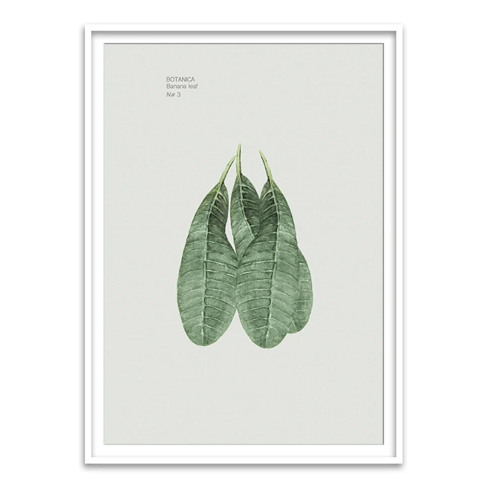 Ewa Sho XXII - Home Artisan