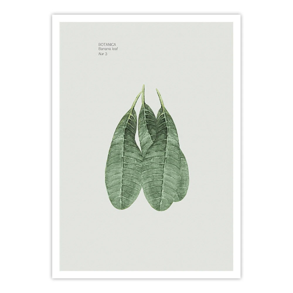 Ewa Sho XXII - Home Artisan