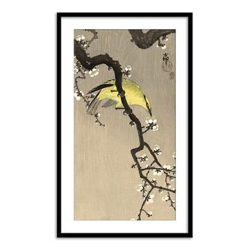 Chinese Wielewaal on Plum Blossom Branch, 1900-1910