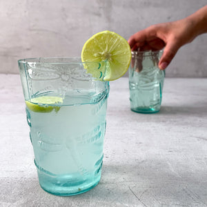 Emir Turquoise Dragonfly Drinking Glass (Set of 2)