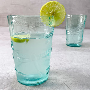 Emir Turquoise Dragonfly Drinking Glass (Set of 2)