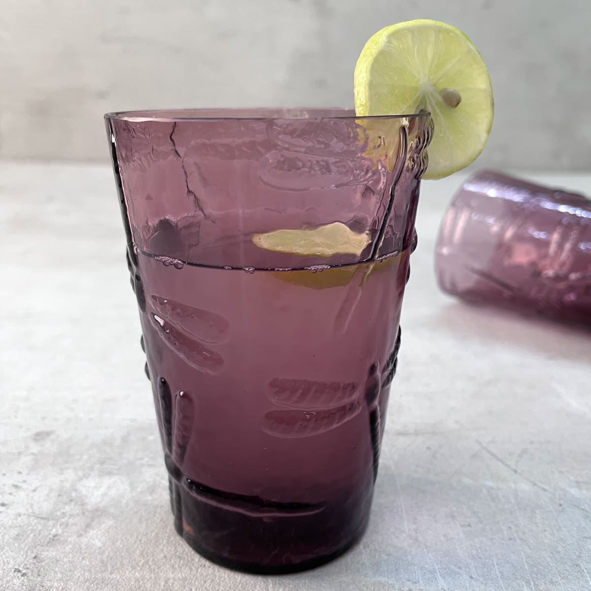 Evren Plum Dragonfly Drinking Glass (Set of 2)