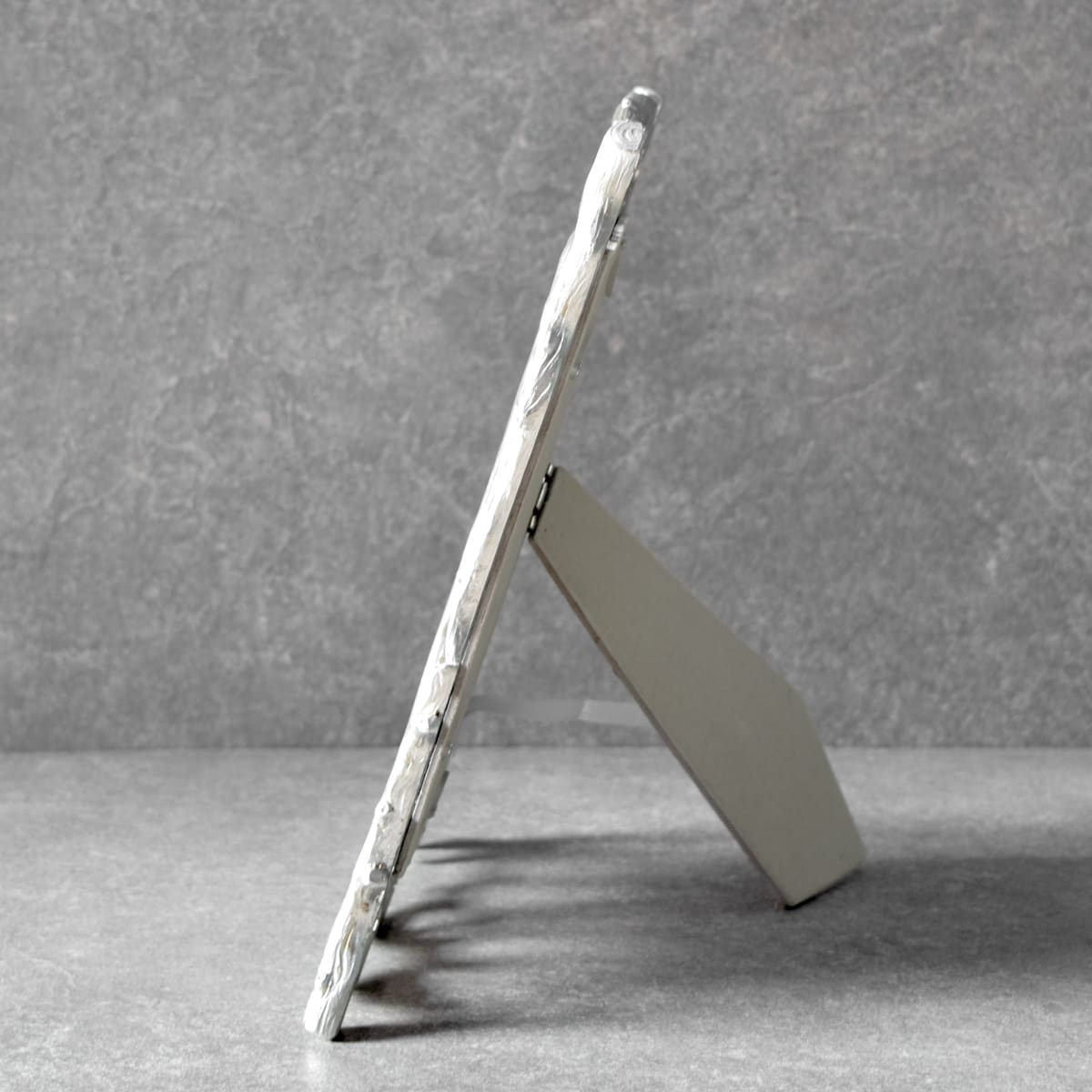 Vera Twig Detail Silver Photo Frame (5x7)