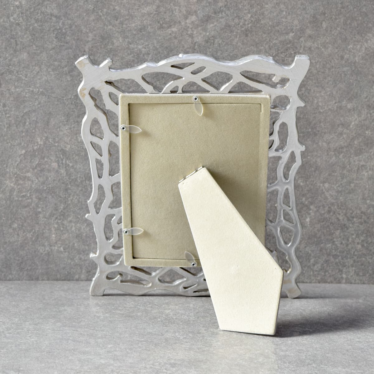 Vera Twig Detail Silver Photo Frame (5x7)