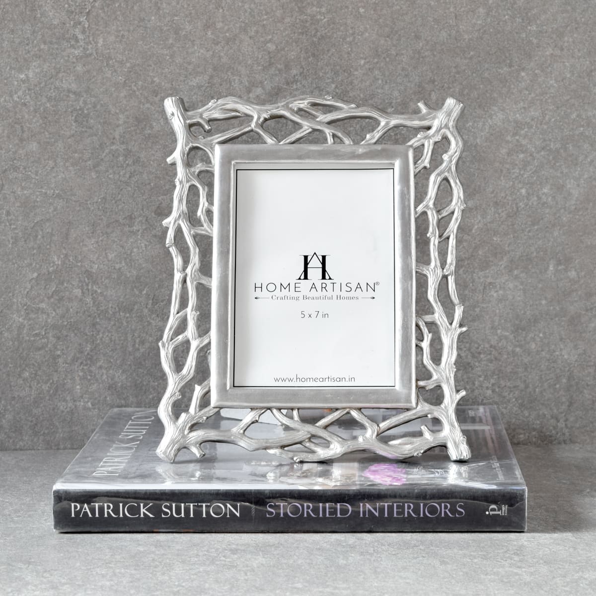 Vera Twig Detail Silver Photo Frame (5x7)
