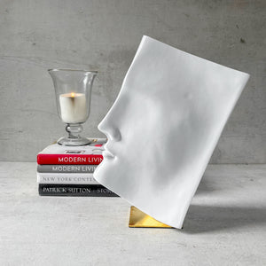 Silvio Book Face Sculpture