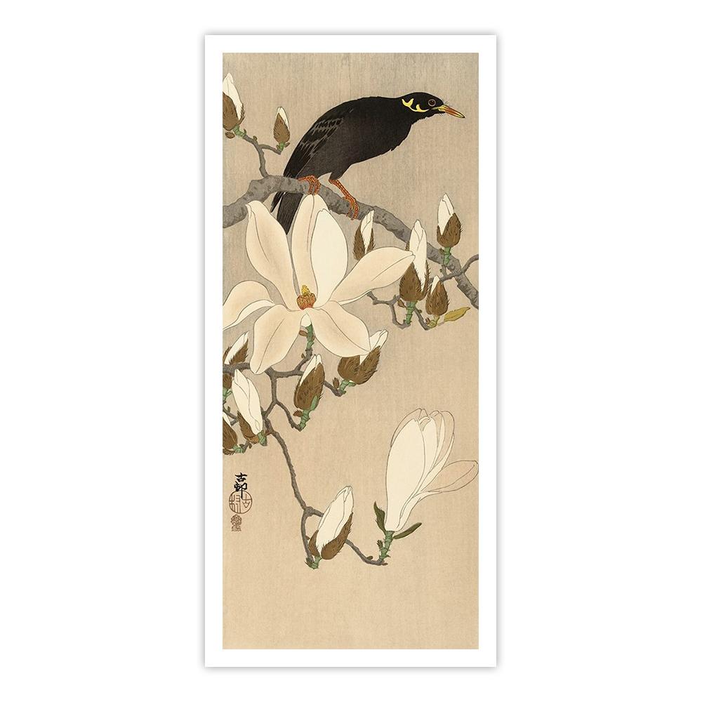 Myna on Magnolia Branch, 1900-1910